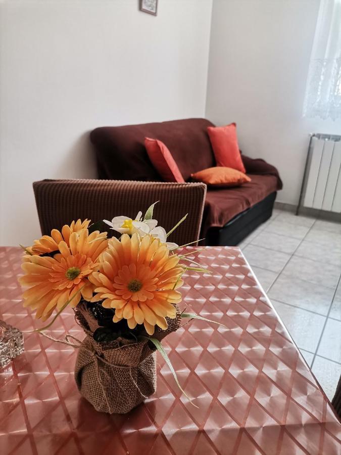 Apartments Petrica 马林斯卡 外观 照片
