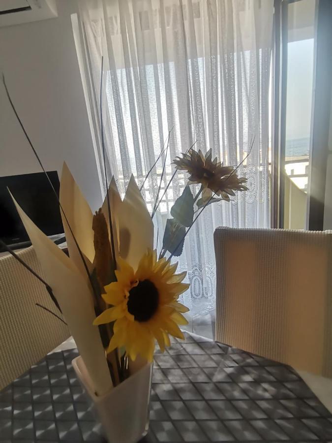 Apartments Petrica 马林斯卡 外观 照片